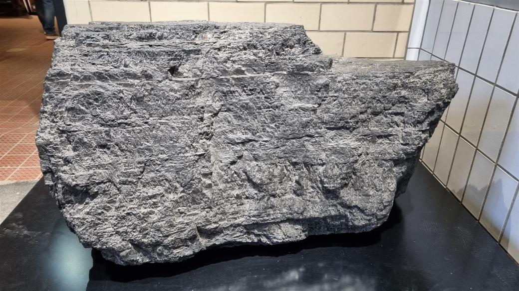 300 Millionen Jahre alte Steinkohle.