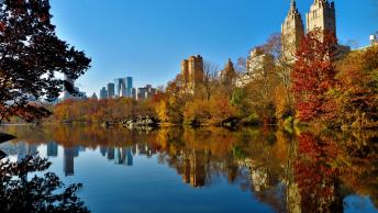 NewYork112016